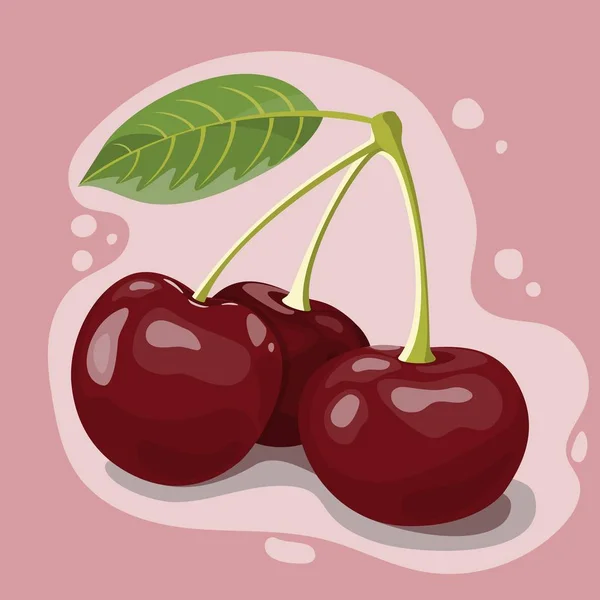 Vector illustration of few red cherry berries — Stock Vector