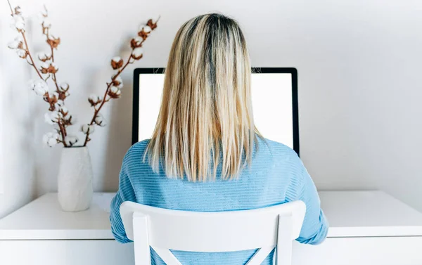 Vista trasera de la mujer de negocios utilizando la computadora de escritorio en la oficina en casa. Vista posterior de la mujer joven en suéter azul que trabaja en interiores en la oficina moderna en la computadora con la pantalla en blanco para su mensaje de texto, contenido —  Fotos de Stock