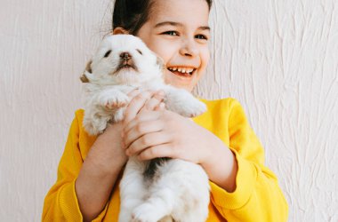 Evde küçük bir köpekle oynayan gülümseyen mutlu bir çocuğun yakın plan portresi. Güzel küçük kız köpek yavrusunu umursuyor. Sevimli bir çocuk güneşli bir günde halıda evcil hayvanıyla oynuyor..