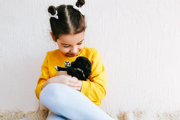 Indoor image of a happy child smiling and playing at home with little dog. Pretty little girl cares about the puppy. Adorable kid playing with her pet at the carpet in the room onm a sunny day.