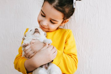 Evde küçük bir köpekle oynayan gülümseyen mutlu bir çocuğun kapalı mekan görüntüsü. Şirin küçük kız köpek yavrusunu önemsiyor. Sevimli bir çocuk güneşli bir günde halıda evcil hayvanıyla oynuyor..