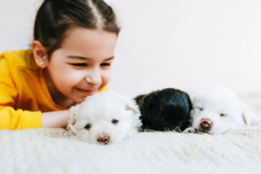 Kapalı alanda gülümseyen ve evde küçük köpeklerle eğlenen mutlu bir çocuğun görüntüsü. Yavru köpekli küçük kız. Odadaki halıda evcil hayvanlarla oynayan sevimli bir çocuk.. 