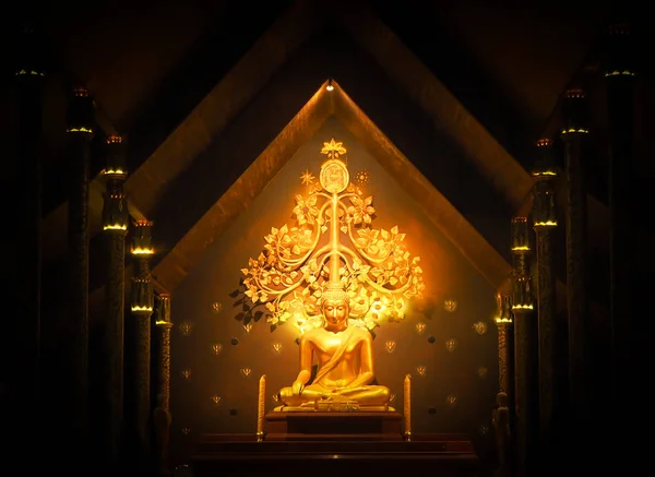 Golden Buddha w nocy Zdjęcie Stockowe