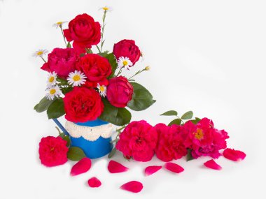 Beyaz arkaplanda güzel kırmızı bir gül 