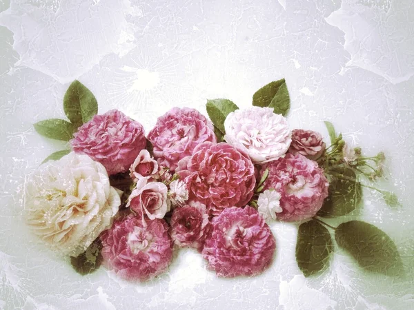 Antika arka plan üzerinde güzel gül çiçek — Stok fotoğraf