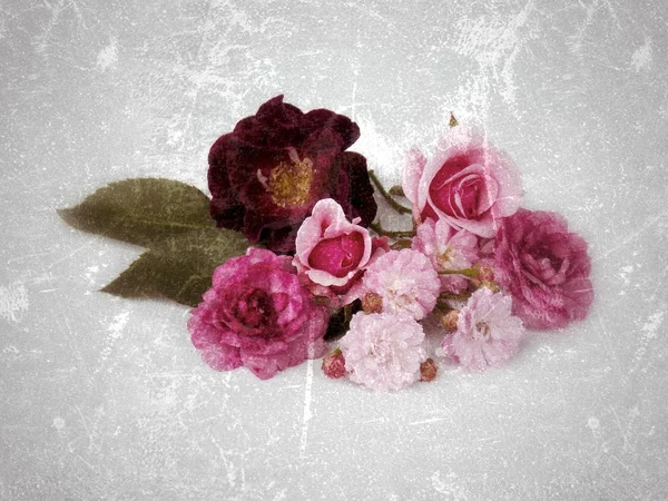Belle fleur rose sur fond vintage — Photo
