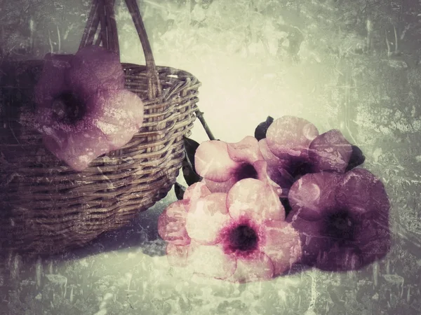 Bela flor no fundo vintage — Fotografia de Stock