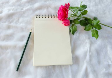 Boş Not Defteri ile kırmızı gül.