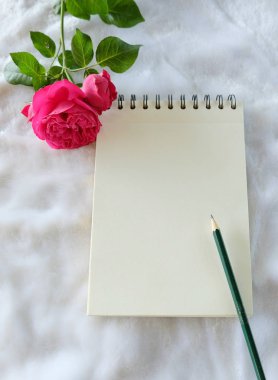 Boş Not Defteri ile kırmızı gül.