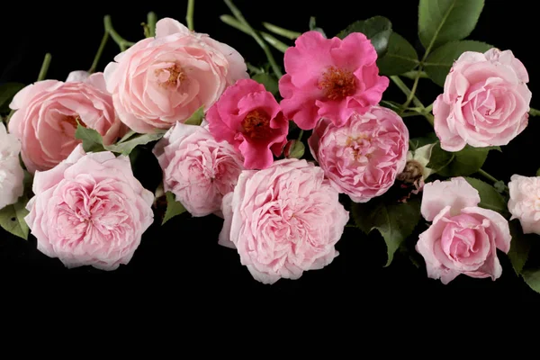 Ramo Flores Rosa Aislado Sobre Fondo Negro —  Fotos de Stock