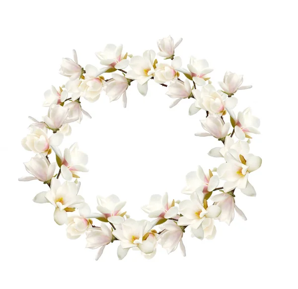 Ramo Flores Magnolia Aislado Sobre Fondo Blanco — Foto de Stock