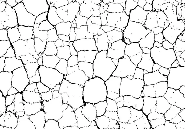Vector cracked texture of dry earth. — Stock Vector