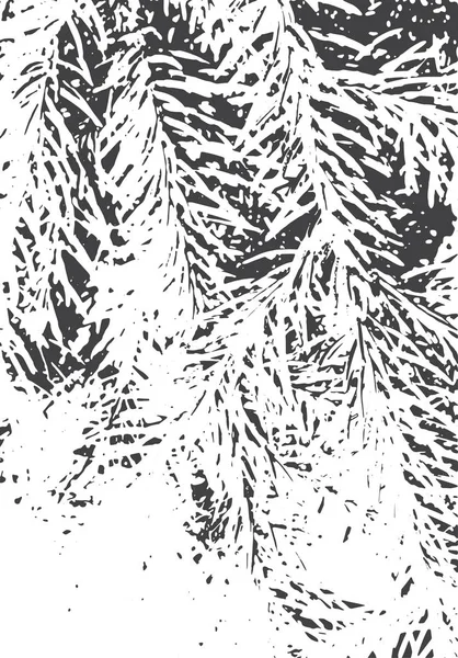 Fir ramos textura. Sobreposição de grunge. Ilustração da natureza . — Vetor de Stock