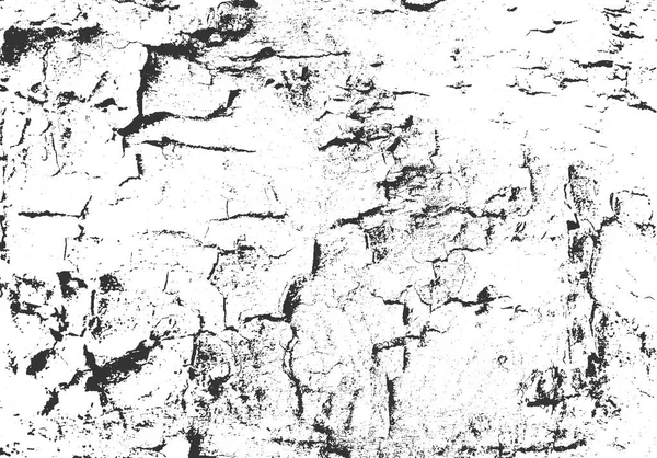 树皮纹理。垃圾木背景。苦恼的矢量叠加。黑白抽象曲面. — 图库矢量图片