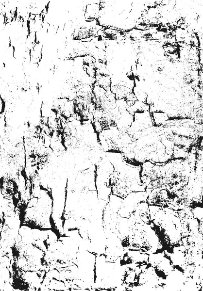 テクスチャを樹皮します。グランジの木製の背景。苦しめられたベクトルのオーバーレイ。黒と白な抽象的な面. — ストックベクタ