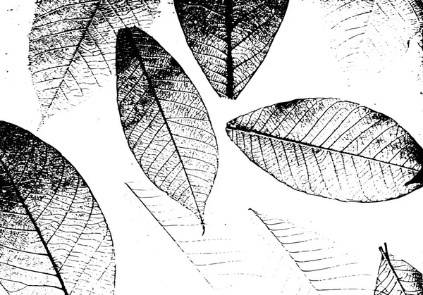 Texture de la surface des feuilles sèches. Superposition de grunge . — Image vectorielle