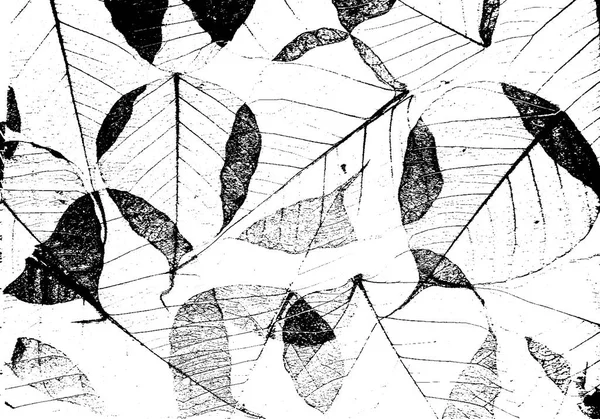 Textura de la superficie de las hojas secas. Superposición de grunge . — Archivo Imágenes Vectoriales