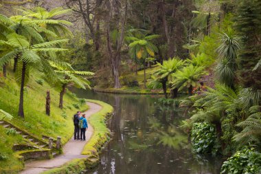 Azores 'deki Tropikal Park
