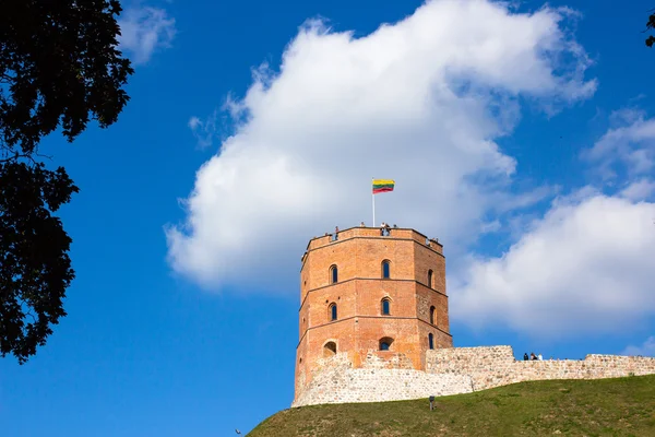 Gedyminas Tower in Vilnius Stock Image