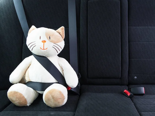 Peluche gato de juguete abrochado con cinturón de seguridad en el asiento trasero de un coche, seguridad en la carretera. Concepto de protección . — Foto de Stock