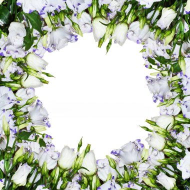 Beyaz, leylak, menekşe lisianthus ile stilize çerçeve