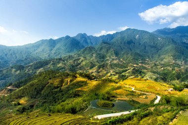 Mu Cang Chai, Yenbai, Vietnam 'daki pirinç tarlaları. Vietnam manzarası
