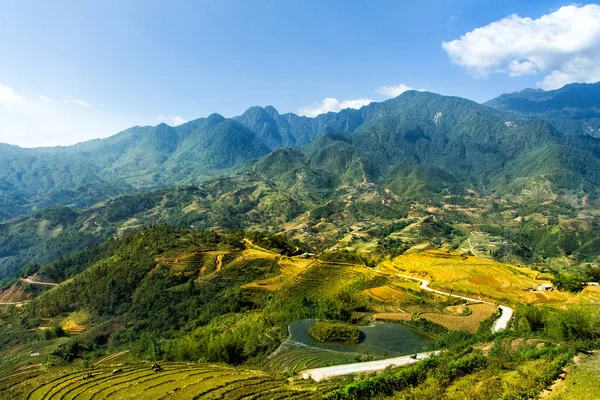 Mu Cang Chai, Yenbai, Vietnam 'daki pirinç tarlaları. Vietnam manzarası
