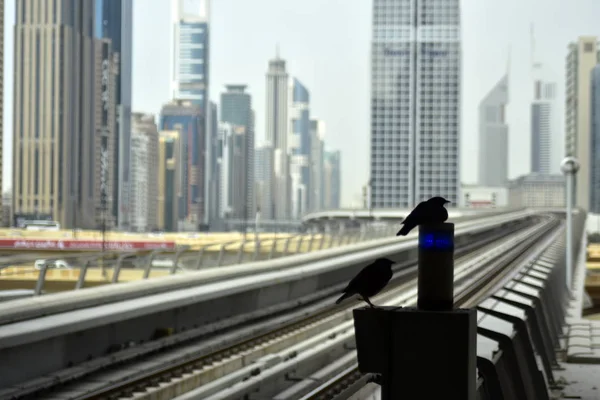 Dubai, Emirados Árabes Unidos - 11 de fevereiro de 2017, o metrô de Dubai é uma rede ferroviária de metrô totalmente automatizada e sem motorista em Dubai, Emirados Árabes Unidos — Fotografia de Stock