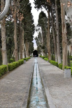 Fin, Kaşan,: Esfahan, Iran, 23 Mart 2017 bir tarihsel Farsça bahçesidir. Kaşan'ın Fin hamamı, Amir Kabir, Qajarid Sayın Başbakan, 1852 yılında Kral Nasereddin Şah tarafından gönderilen bir suikastçı tarafından öldürüldüğü yerden içerir