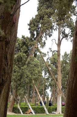 Fin, Kaşan,: Esfahan, Iran, 23 Mart 2017 bir tarihsel Farsça bahçesidir. Kaşan'ın Fin hamamı, Amir Kabir, Qajarid Sayın Başbakan, 1852 yılında Kral Nasereddin Şah tarafından gönderilen bir suikastçı tarafından öldürüldüğü yerden içerir