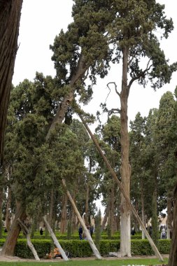 Fin, Kaşan,: Esfahan, Iran, 23 Mart 2017 bir tarihsel Farsça bahçesidir. Kaşan'ın Fin hamamı, Amir Kabir, Qajarid Sayın Başbakan, 1852 yılında Kral Nasereddin Şah tarafından gönderilen bir suikastçı tarafından öldürüldüğü yerden içerir