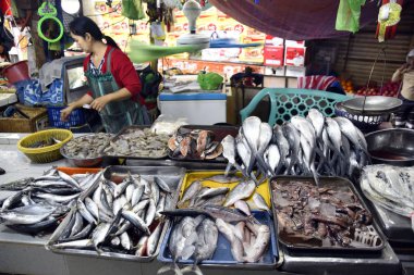 Santiago şehir halk pazarına
