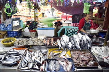 Santiago şehir halk pazarına