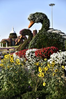 Dubai mucize Garden'da Dünya günü