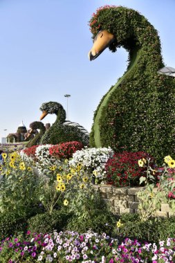 Dubai mucize Garden'da Dünya günü