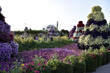 Dubai mucize Garden'da Dünya günü