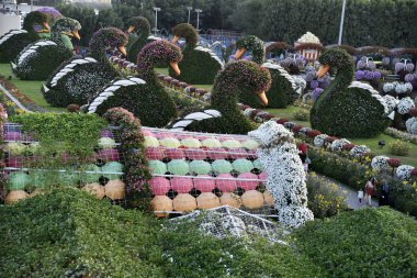 Dubai mucize Garden'da Dünya günü