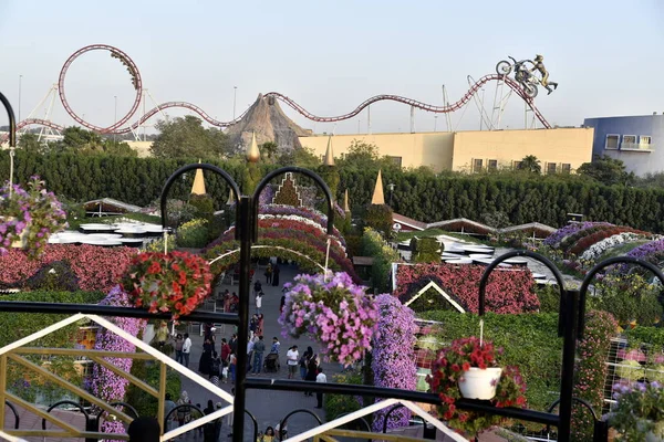 Dubai United Arab Emirates March 2018 Dubai Miracle Garden Located — стоковое фото