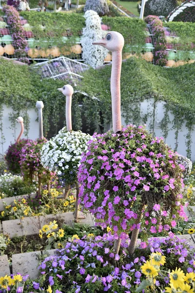 Dubai mucize Garden'da Dünya günü