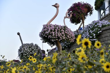 Dubai, Birleşik Arap Emirlikleri, 22 Mart 2018, Dubai mucize Bahçe Dubailand bölgesinde yer alan bölge ve dünyanın böyle bir benzersiz görüntüleme ve savurgan açık eğlence hedef birçok insan tarafından ziyaret için bir tür biridir