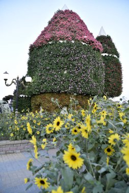 Dubai mucize Garden'da Dünya günü