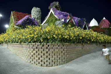 Dubai mucize Garden'da Dünya günü