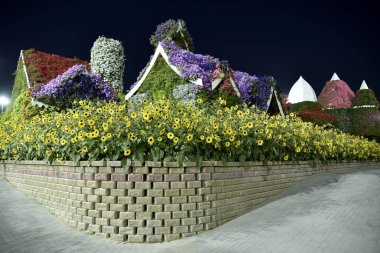 Dubai mucize Garden'da Dünya günü