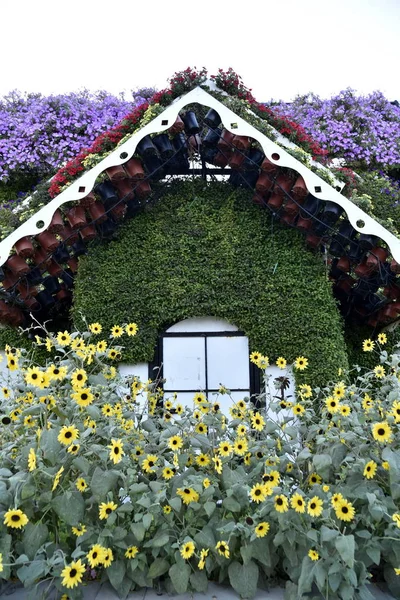 Dubai Miracle Garden på den Earth day — Stockfoto