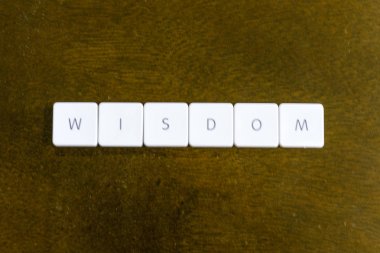 Plastik klavye alfabesi ile koyu arka plan üzerinde yazılı bilgelik word