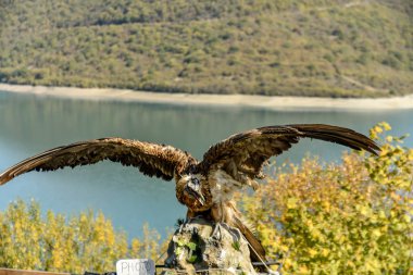 Tiflis 'ten Kazbegi' ye özel arabayla yol ve doğa manzarası