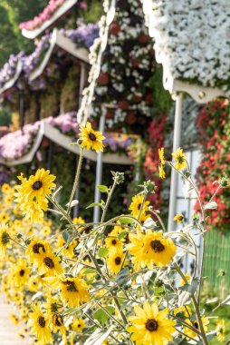 Dubai Mucize Bahçesi, Dubai Toprakları, Birleşik Arap Emirlikleri