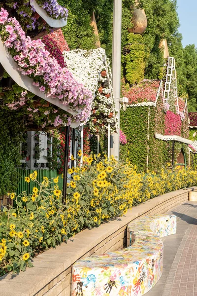 Dubai Miracle Garden, Dubai Land, Zjednoczone Emiraty Arabskie — Zdjęcie stockowe