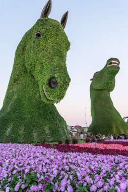 Dubai Mucize Bahçesi, Dubai Toprakları, Birleşik Arap Emirlikleri