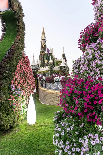 Dubai Miracle Garden, Dubai Land, Zjednoczone Emiraty Arabskie — Zdjęcie stockowe